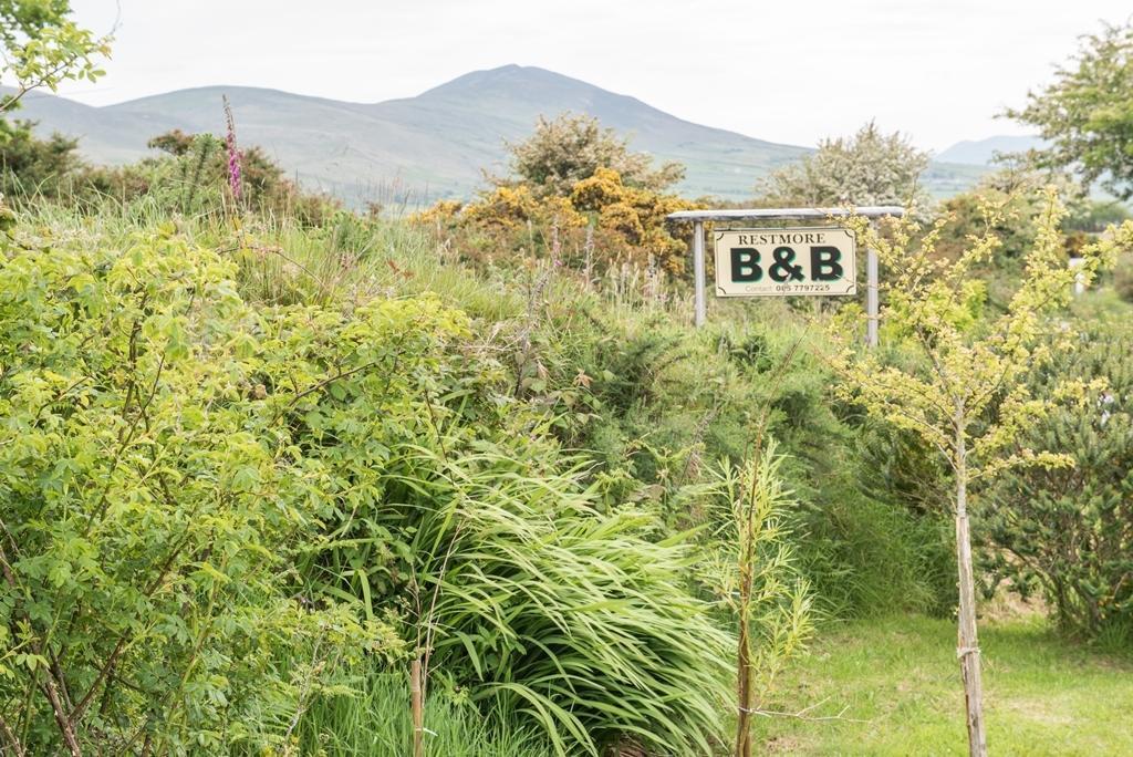 Restmore B&B Annascaul Bagian luar foto
